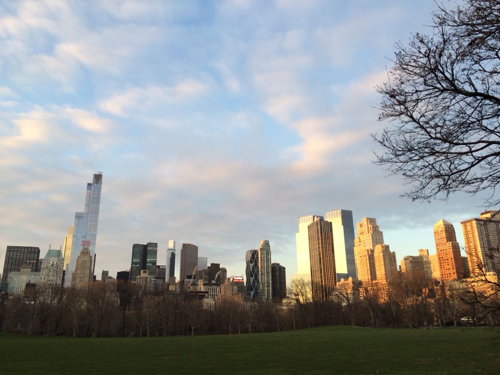 Une semaine de ciels new-yorkais pour commencer 2016
