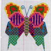 Album - papillons-symetrie