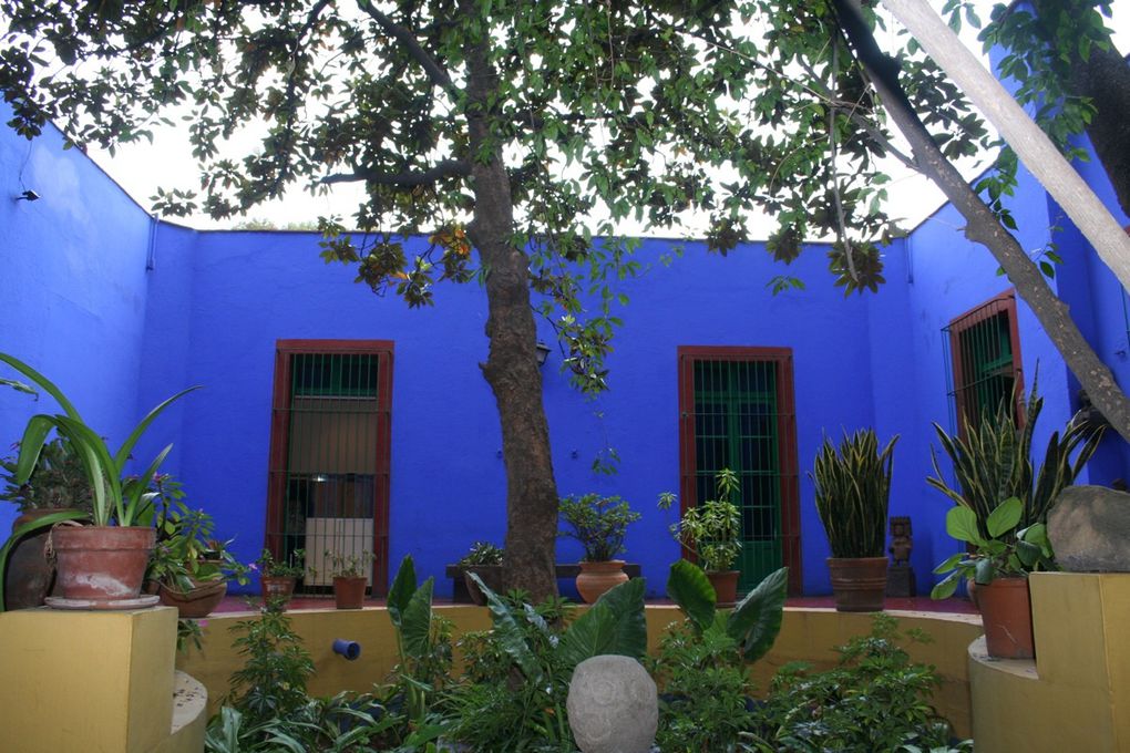 Musée Diego Rivera Anahuacalli et de la Maison Bleue "Casa Azul" de Frida Kahlo.
Peintre mexicain connu pour ses fresques murales principalement, Diego Rivera a laissé une oeuvre personnelle inachevée dans son musée Anahuacalli. En 1940, Frida et