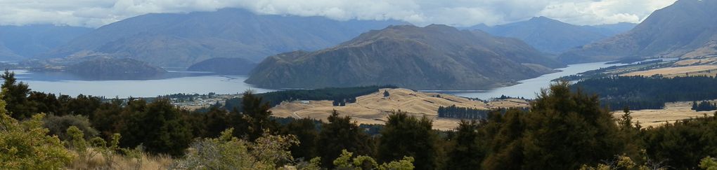 Album - Wanaka-et-Fox-Glacier