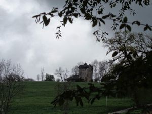 Le chateau de Fésigny