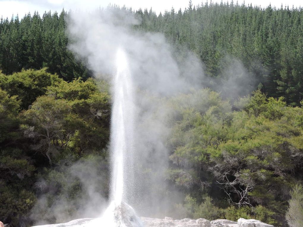 Le parc de Wai-O-Tapu