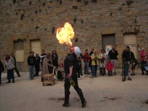 Album - fete-medievale-de-Sedan-2008