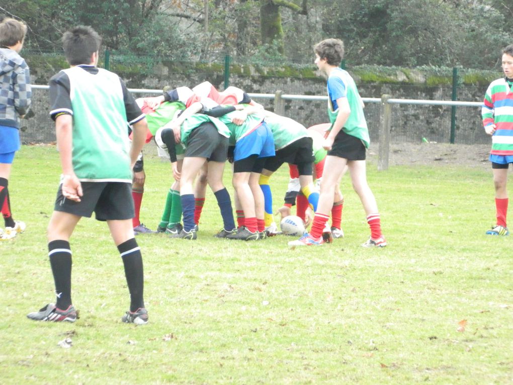 Album - district-rugby