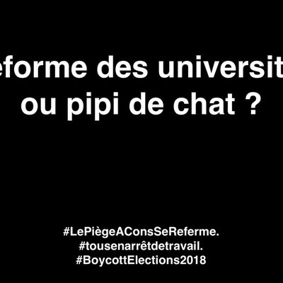 Réforme des universités ou pipi de chat ?