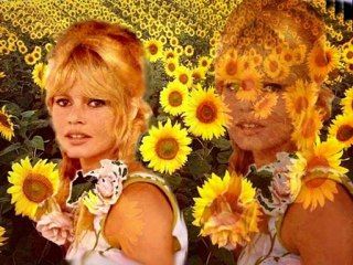 Magnifique montage vidéo sur Brigitte Bardot...