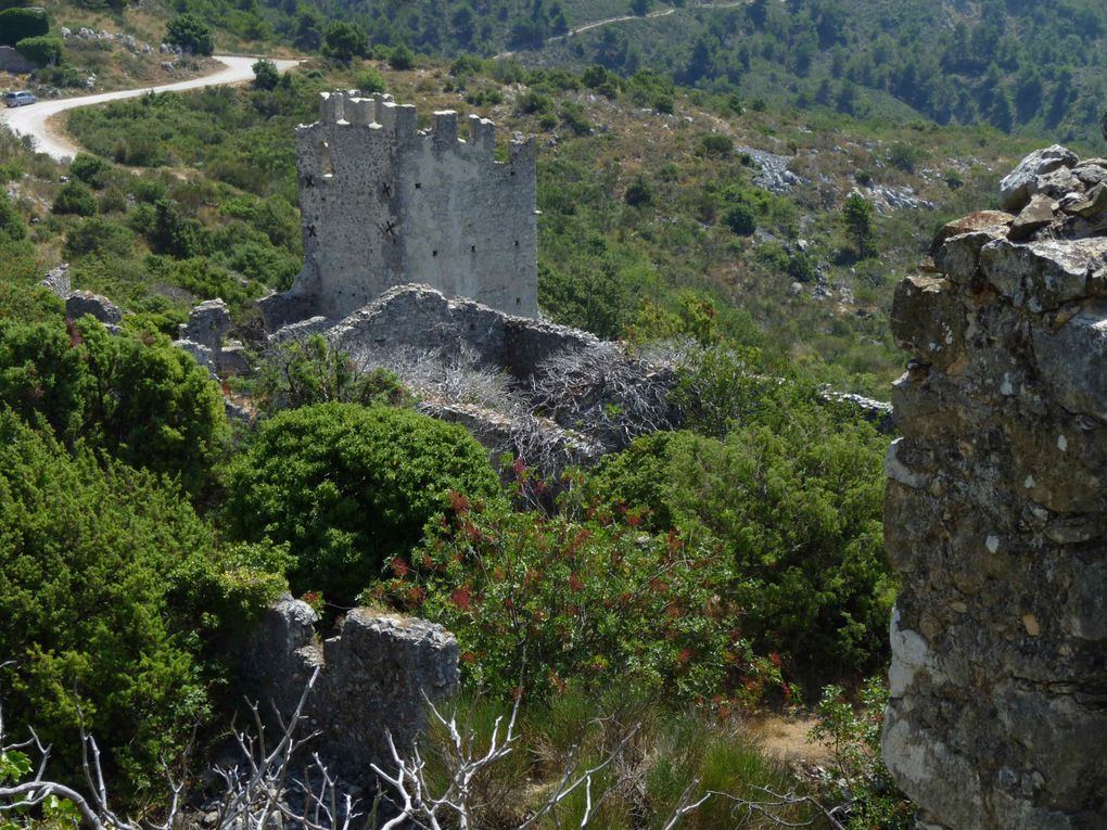 Le 14 août 2012, une balade avec Lucy dans les ruines de Châteauneuf-Villevieille.