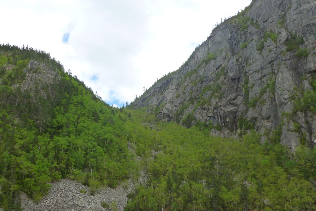 Album - Tadoussac-.sur-la-route-des-baleines--