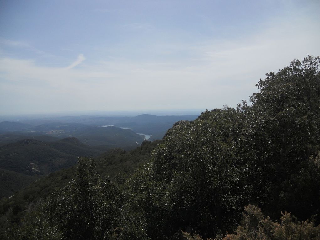 Mercredi 20 Avril, Maçanet de Cabrenys (Esp)