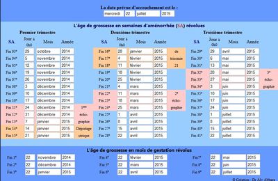 Les semaines de grossesses