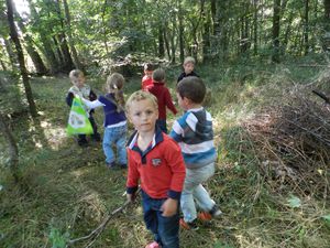 L'appel de la forêt!