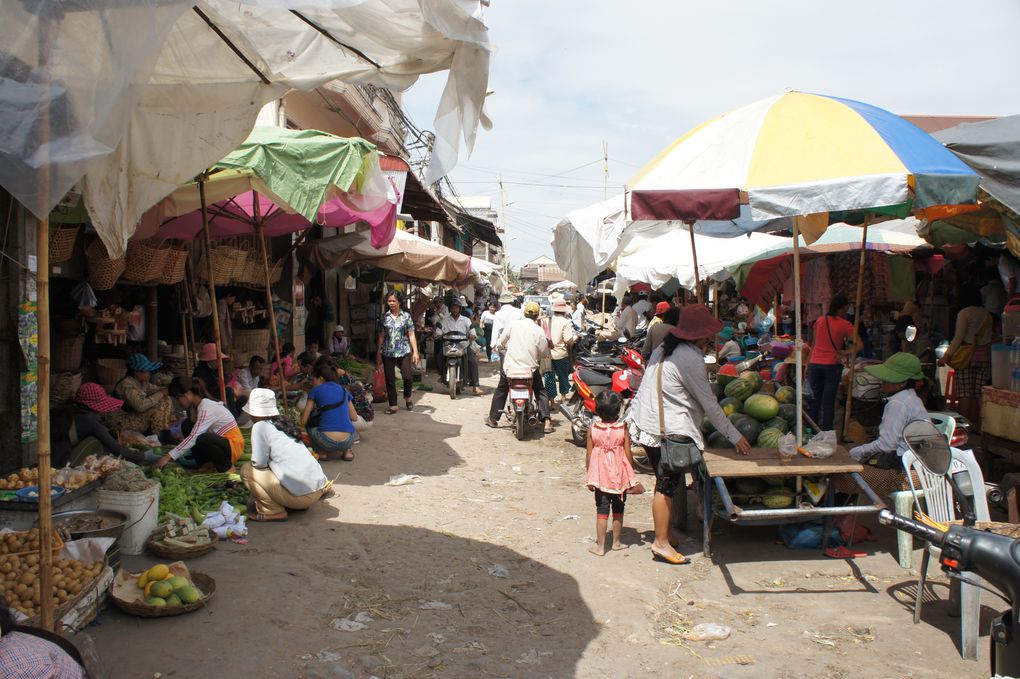 Album - Angkor-mars-2011