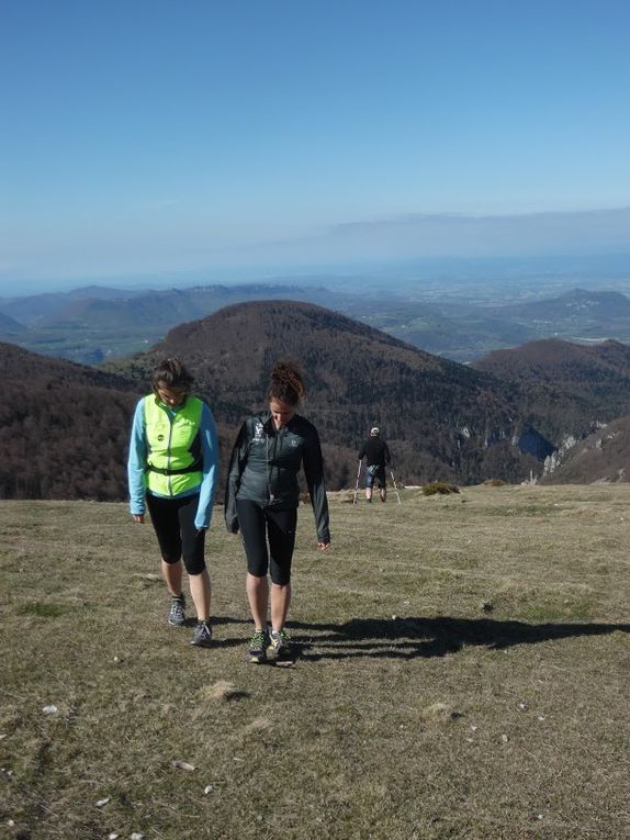 Petit retour en arrière.....