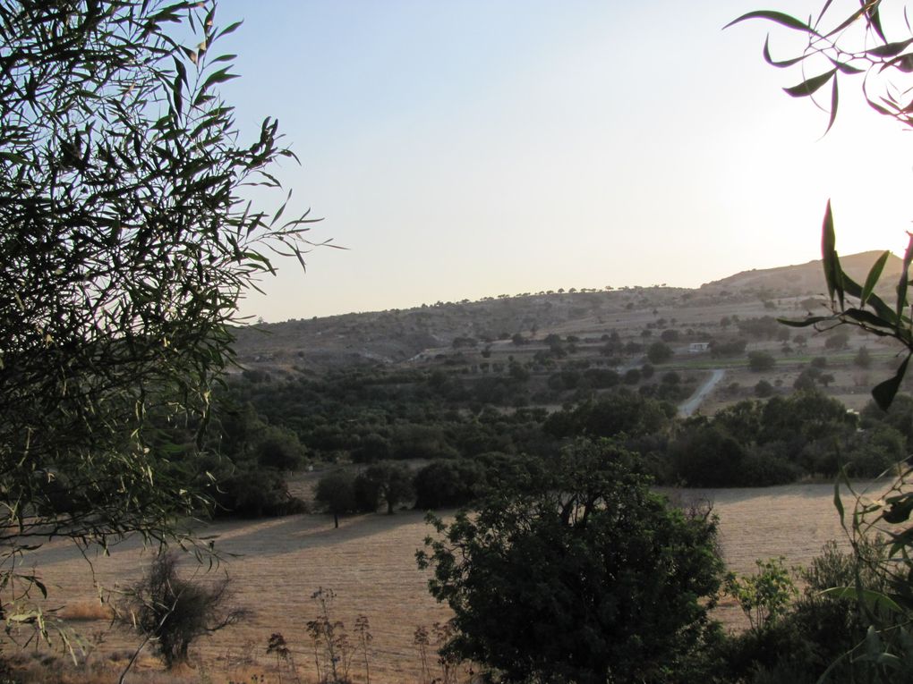 Album des 2 semaines passées sur l'île d'Aphrodite: Larnaca, Kalavasos, Paphos, Omodos, Lemithou,Lefkara, monastère de Kykkos et de St Nicolas des chats