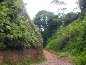 La piste vers Navana