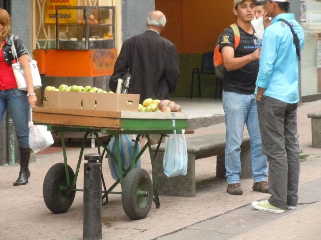 Album - Titre18-De-Manizales-a-Bogota