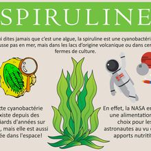 La SPIRULINE? MIRACLE ou ARNAQUE? 