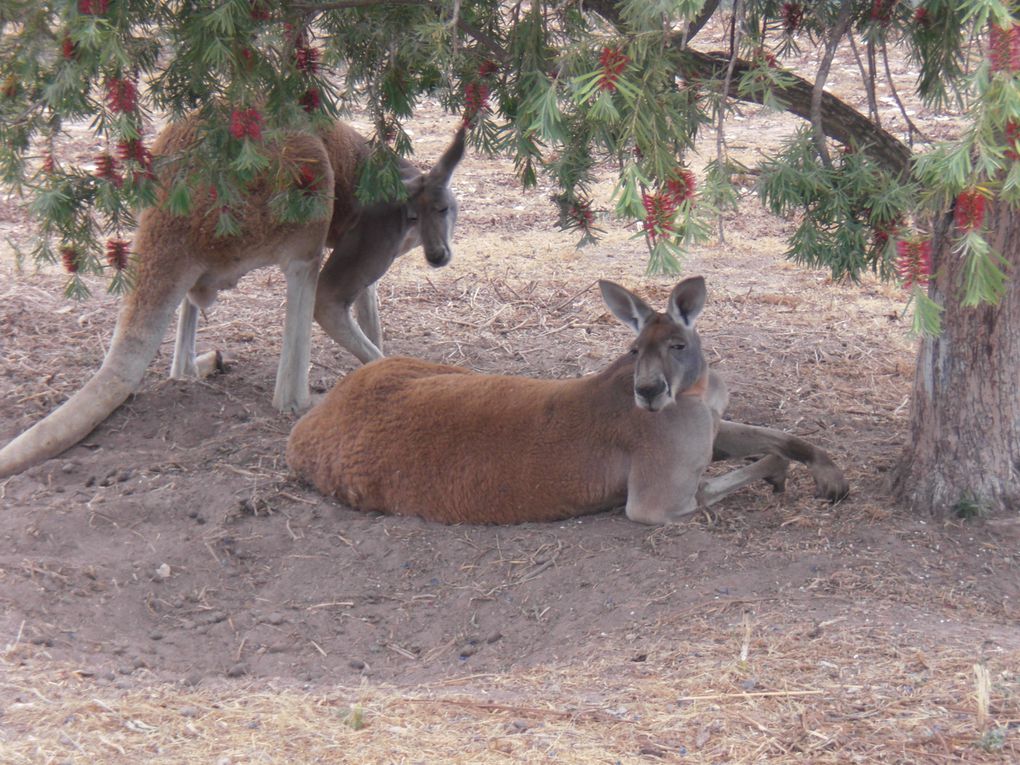 Ein Wochenende bei Christina und im Wildlife Park.