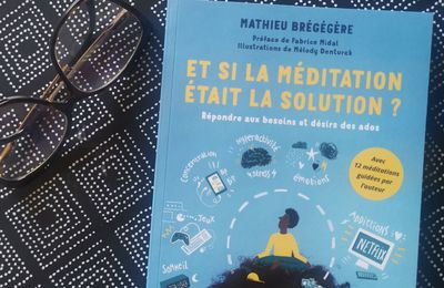 Et si la méditation était la solution ?