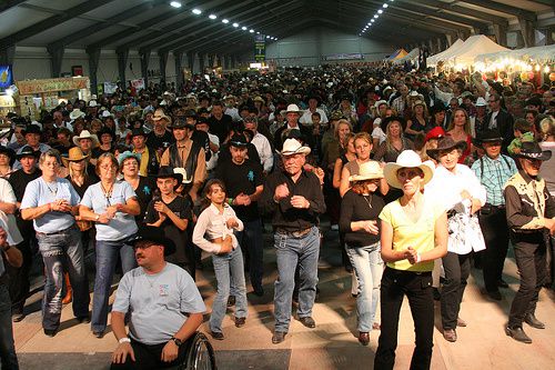 Album - festival-AVIGNON-sep-2008