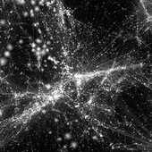 The Network Behind the Cosmic Web