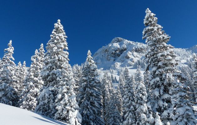 Que cuisiner pour toute la famille avant le ski ?