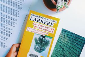 Du bon usage de la nature - Catherine Larrère et Raphaël Larrère (pour une philosophie de l'environnement)