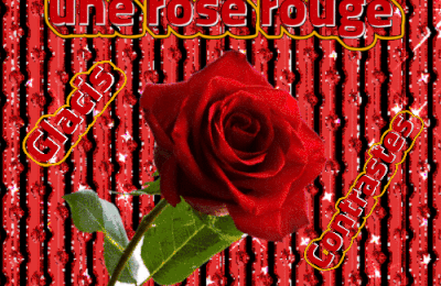 Dessin et peinture - vidéo 4504: Comment réaliser avec glacis, une rose rouge contrastée sur fond noir ? - huile, acrylique.