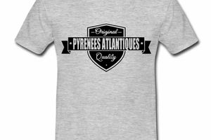 T shirt Aquitaine gris homme Original Pyrénées-Atlantiques 64