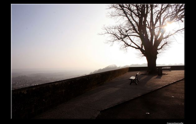 "Les promenades du dimanche"