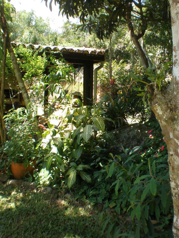 Floripa, pour les intimes, et l'Ilha de Santa Catarina : plages à perte de vue, végétation luxuriante, activités sportives, casse-croûtes sur le pouce, sieste dans le hamac... le début des vacances, ça promet pour la suite !