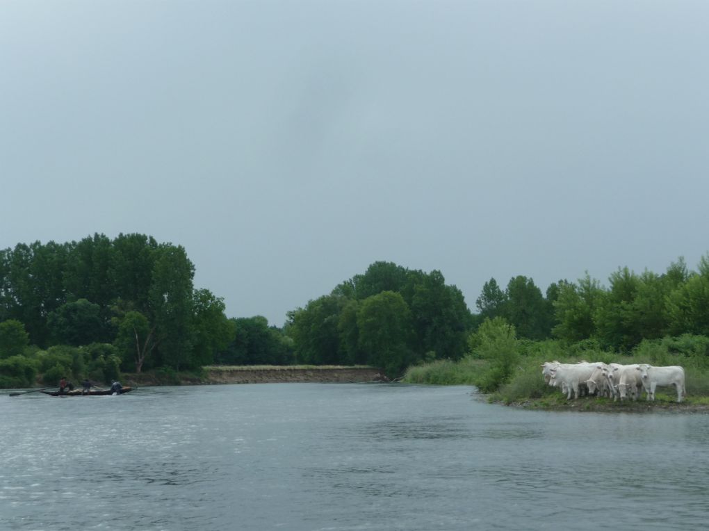 Billy / Château-sur-Allier Mai 2011