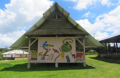 Suis-je un acteur d'une nouvelle colonisation de la Guyane ?