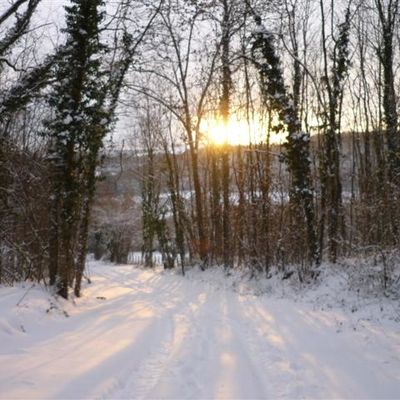 Un blog pour une classe découverte