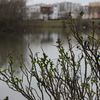 un peu d'eau, quelques plantes, je me sens bien