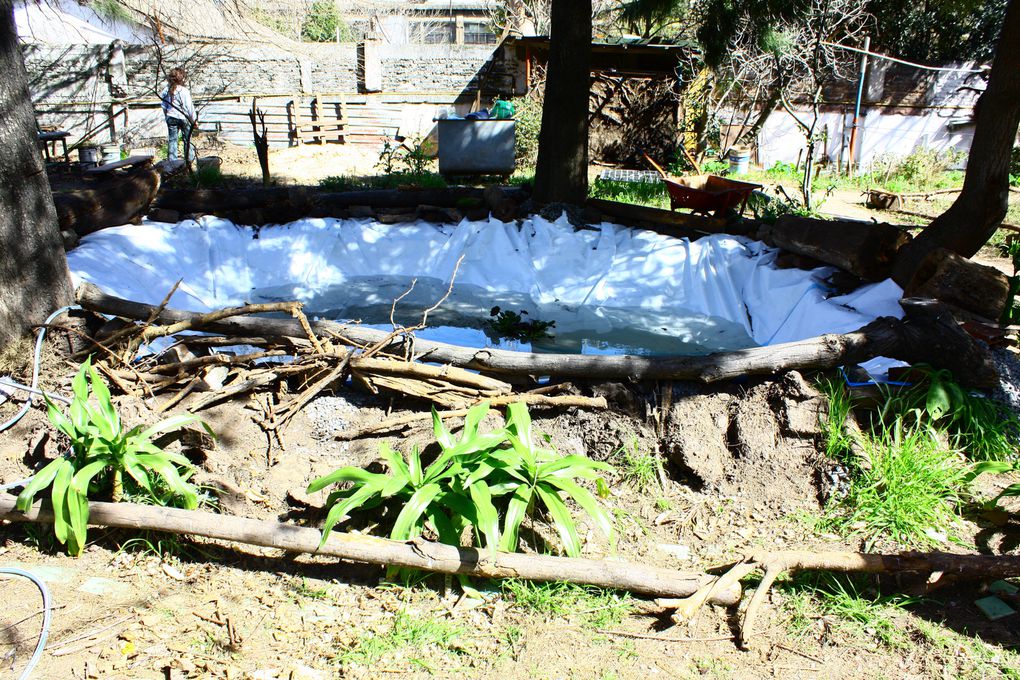 construccion del estanque el la huerta del hospital Borda.