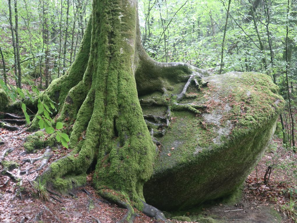 Une  balade du côté de Huelgoat ...