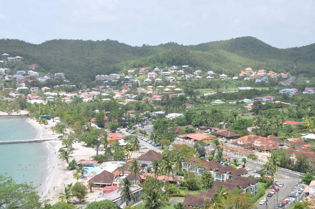 quelques photos de la martinique