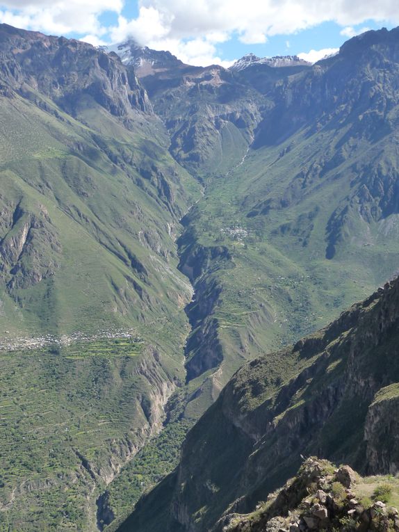 Album - 43.Canyon de Colca (Perou-Janvier)