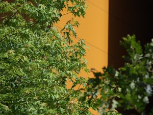 Paris - Jardins du Musée du Quai Branly - Photos: Lankaart (c)