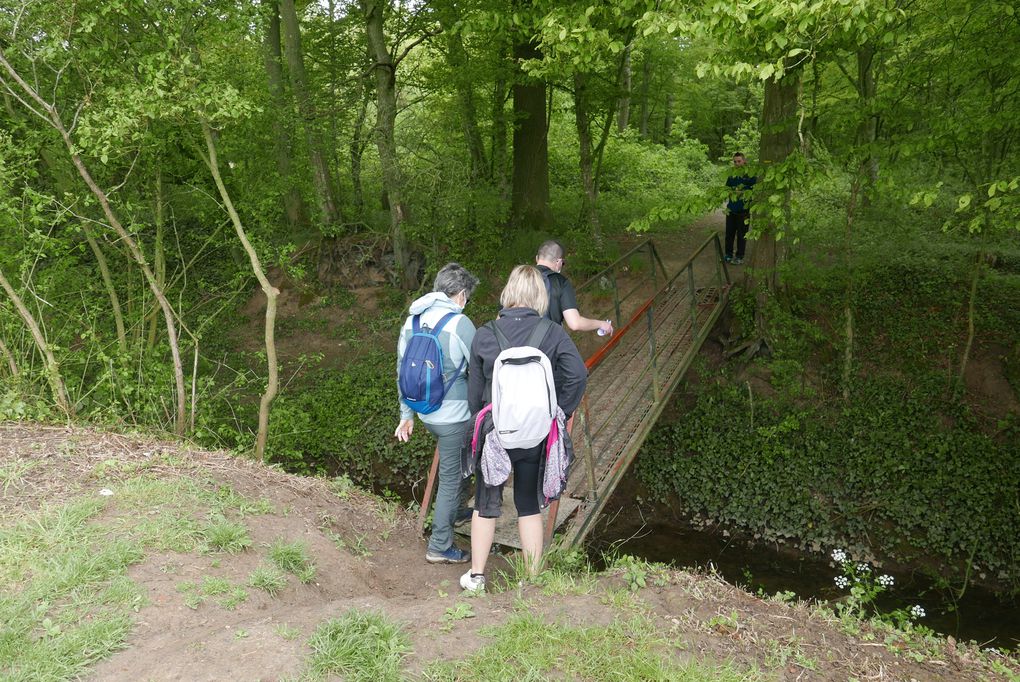 80 participants pour une balade de 11,5 km avec un zeste d'aventure en forêt, quelques glissades, une courte averse... Pas de photo de groupe, coronavirus oblige. 