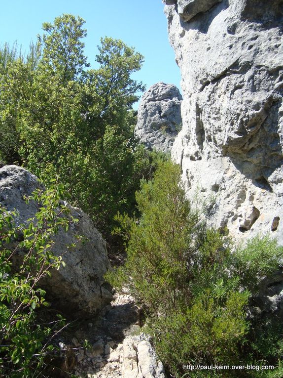 Montée puis descente à mi-hauteur, pour une exploration à pied de la zone karstique (ruiniforme), fruit d'une longue érosion calcaire. Enfin descente sur La Roquebrussanne