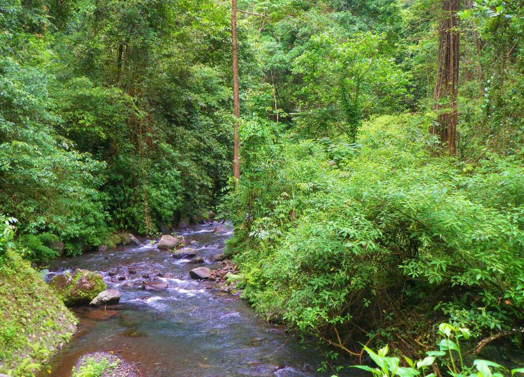 LOMBOK - Sendang Gile Waterfall (SERANU) 