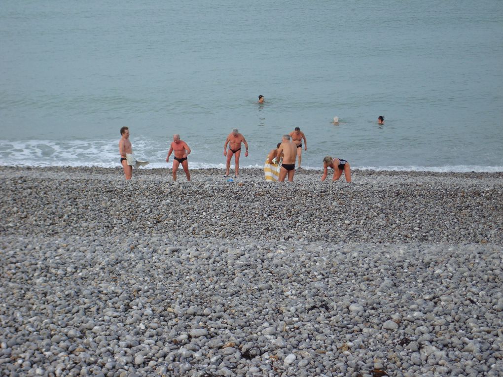 La Côte entre Le havre et Dieppe ...