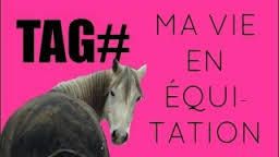 Tags n°2:Ma vie en équitation 