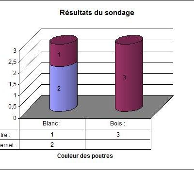 Sondage (2)