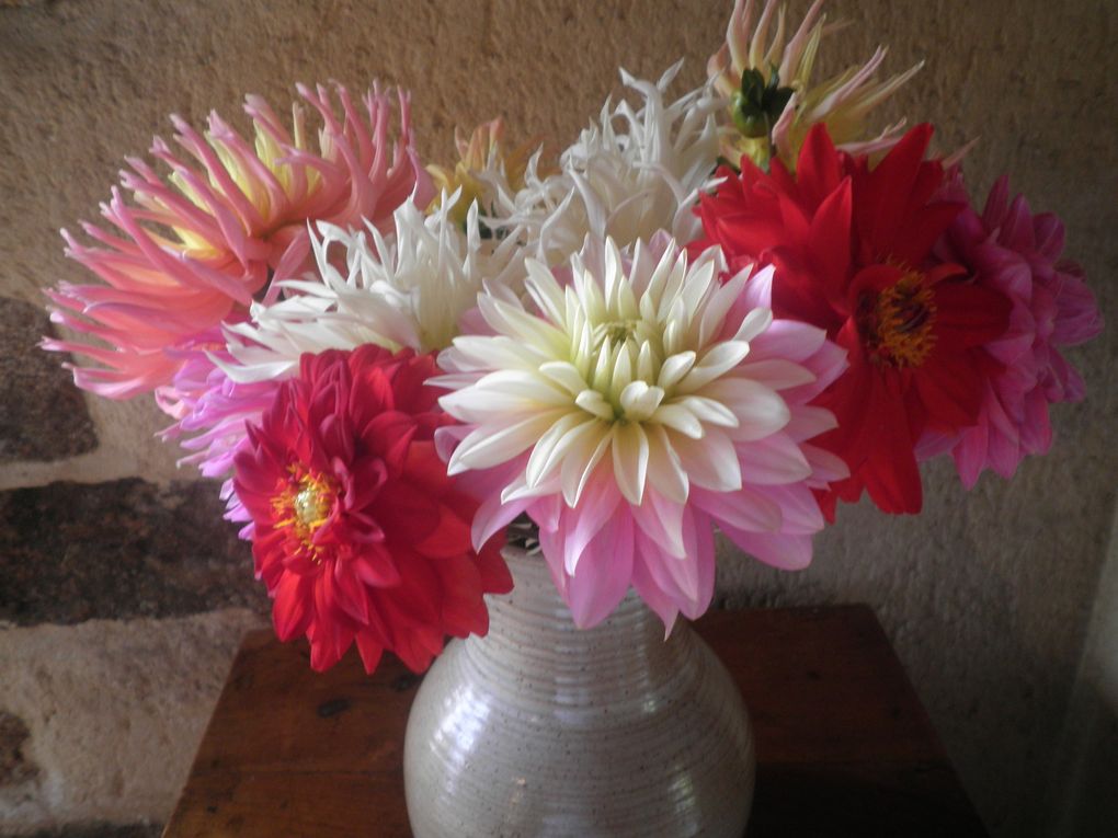Album - fleurs