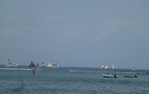 Au Tour de la Guadeloupe de Voile traditionnelle (TGVT) 2013