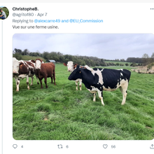 « Élevages bovins jugés polluants: "La Commission européenne condamne nos campagnes à un équilibre fragile" » de Mme Anne-Cécile Suzanne dans le Figaro