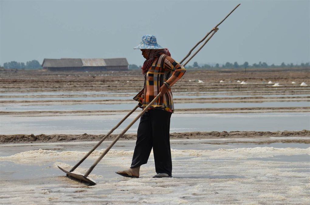 Les salines de Kep et de Kampot (Cambodge)